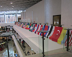 Venue and flags
